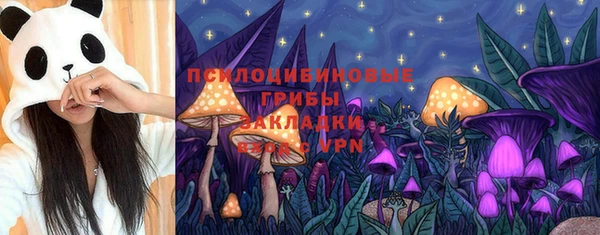ешки Новодвинск